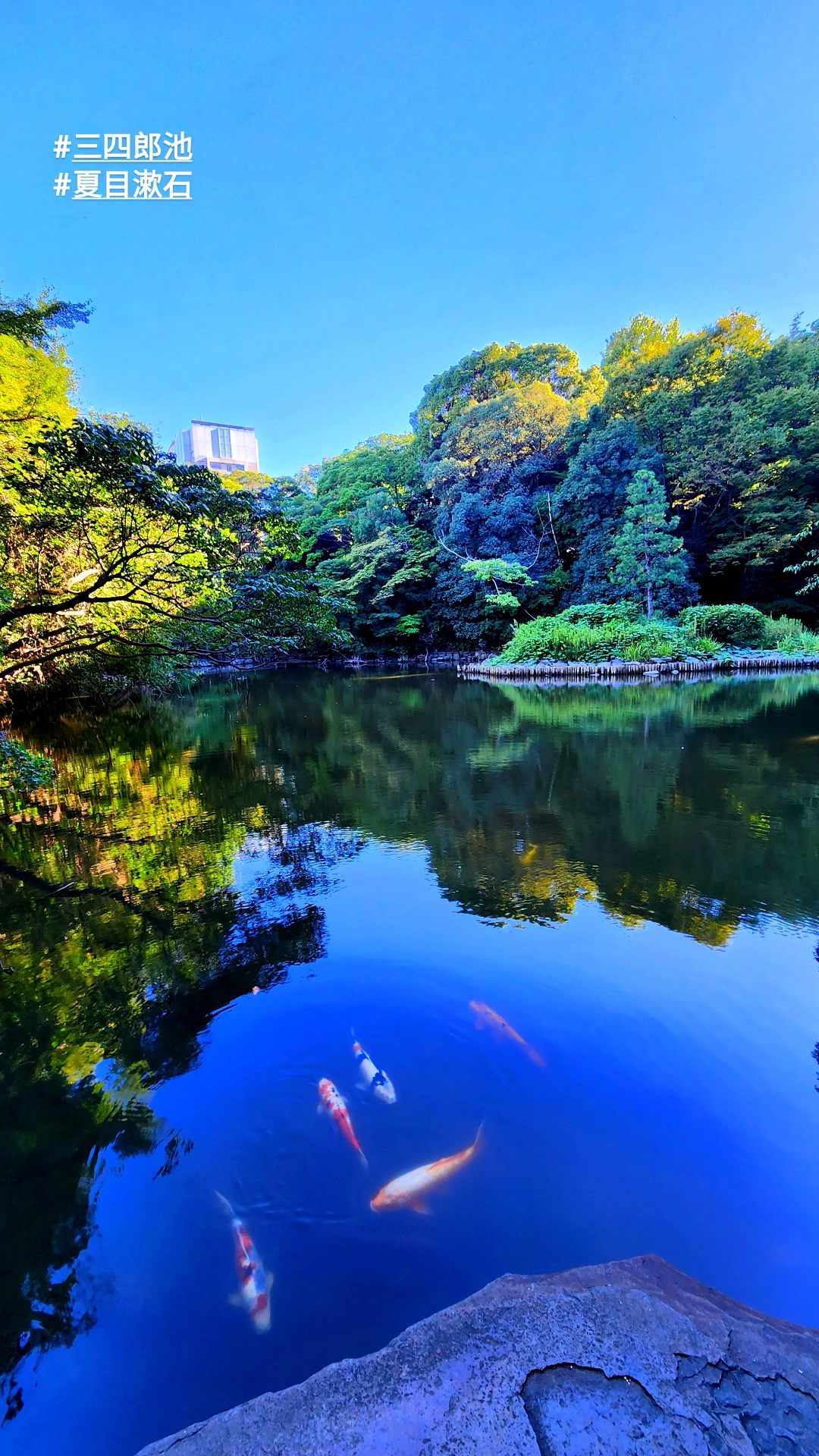 Tokyo