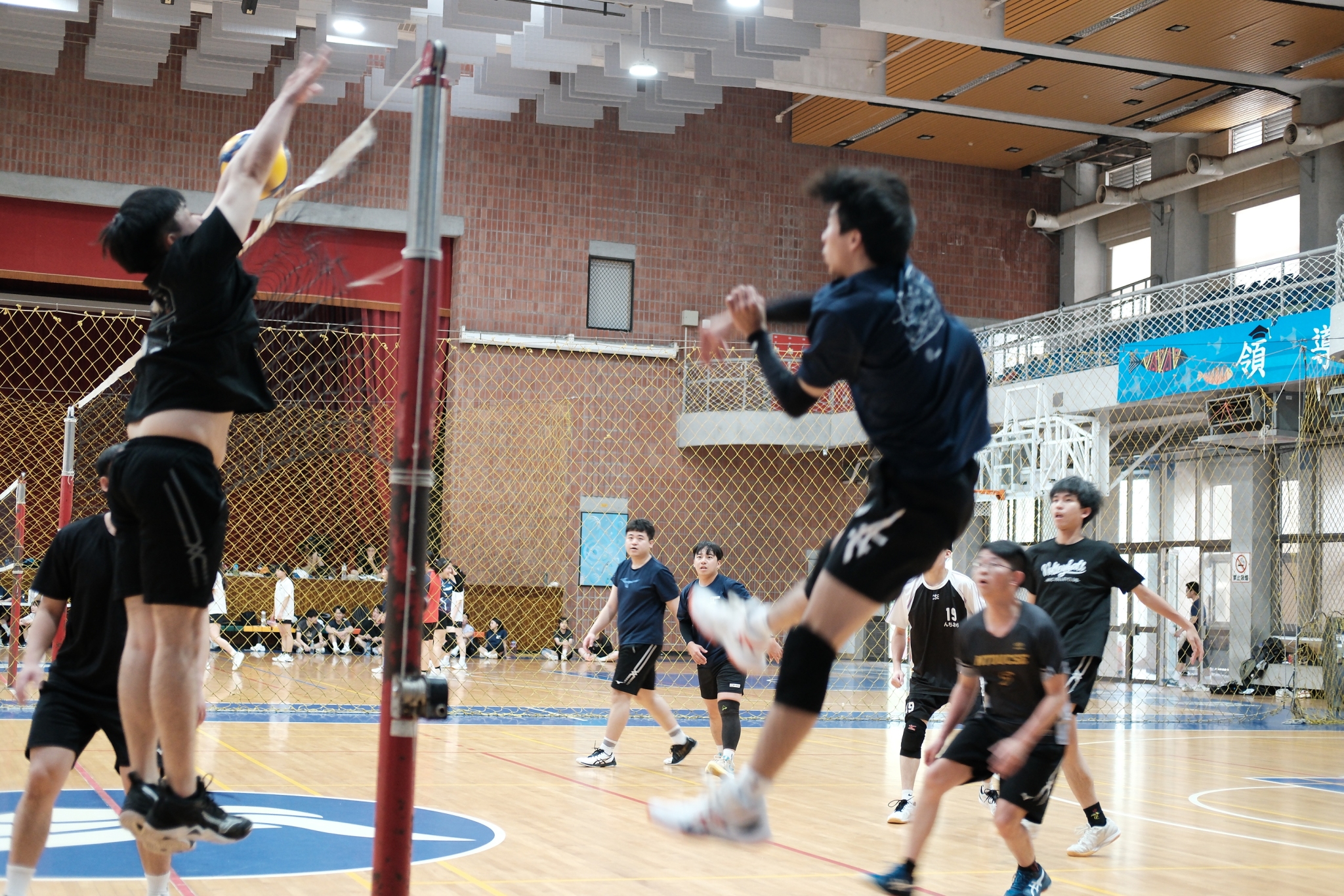 Volleyball photo 1